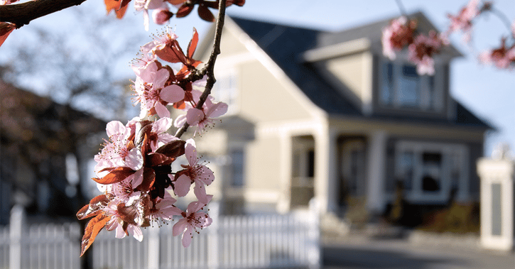 Blossoming Neighborhood