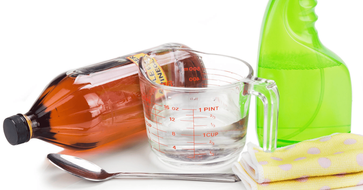 Cleaning Products for Appliances
