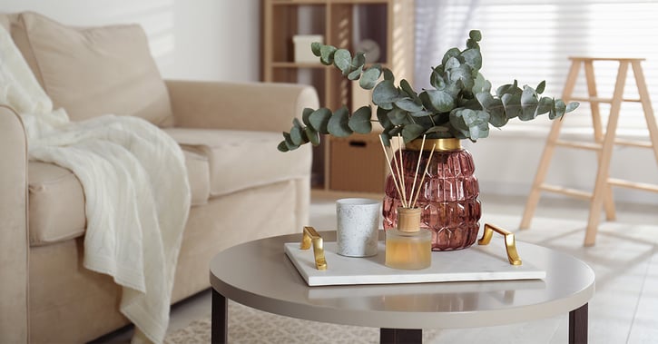 Bunch of eucalyptus branches and oil diffuser on table in living room