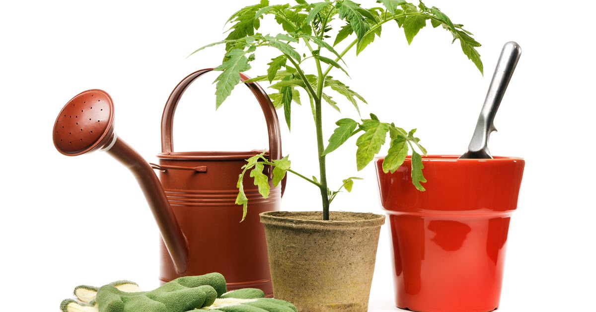 Gardening Supplies1200x628