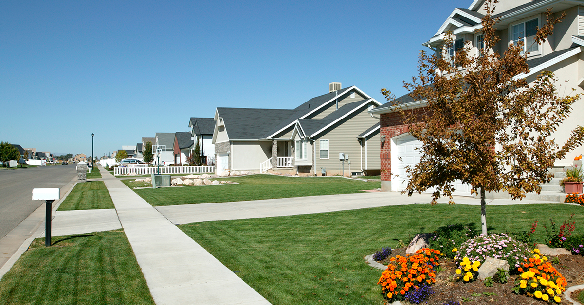 Street with many single family homes