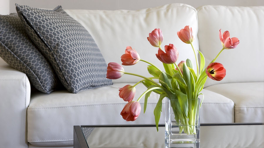 Vase with Tulips on Coffee Table