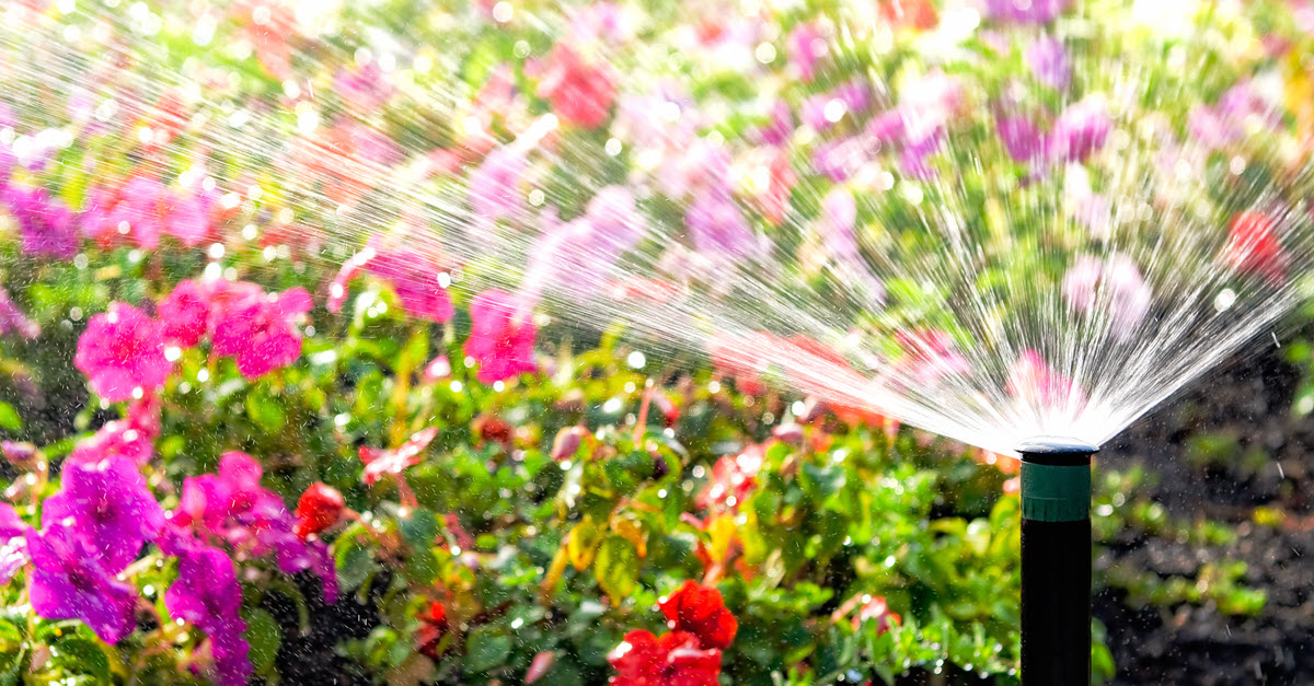 Watering Outside Flowers_1200x628