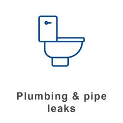 Plumbing_and_Pipe_Leaks_2