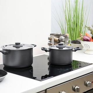 Glass cooktop with pots cooking and a plant in the background.