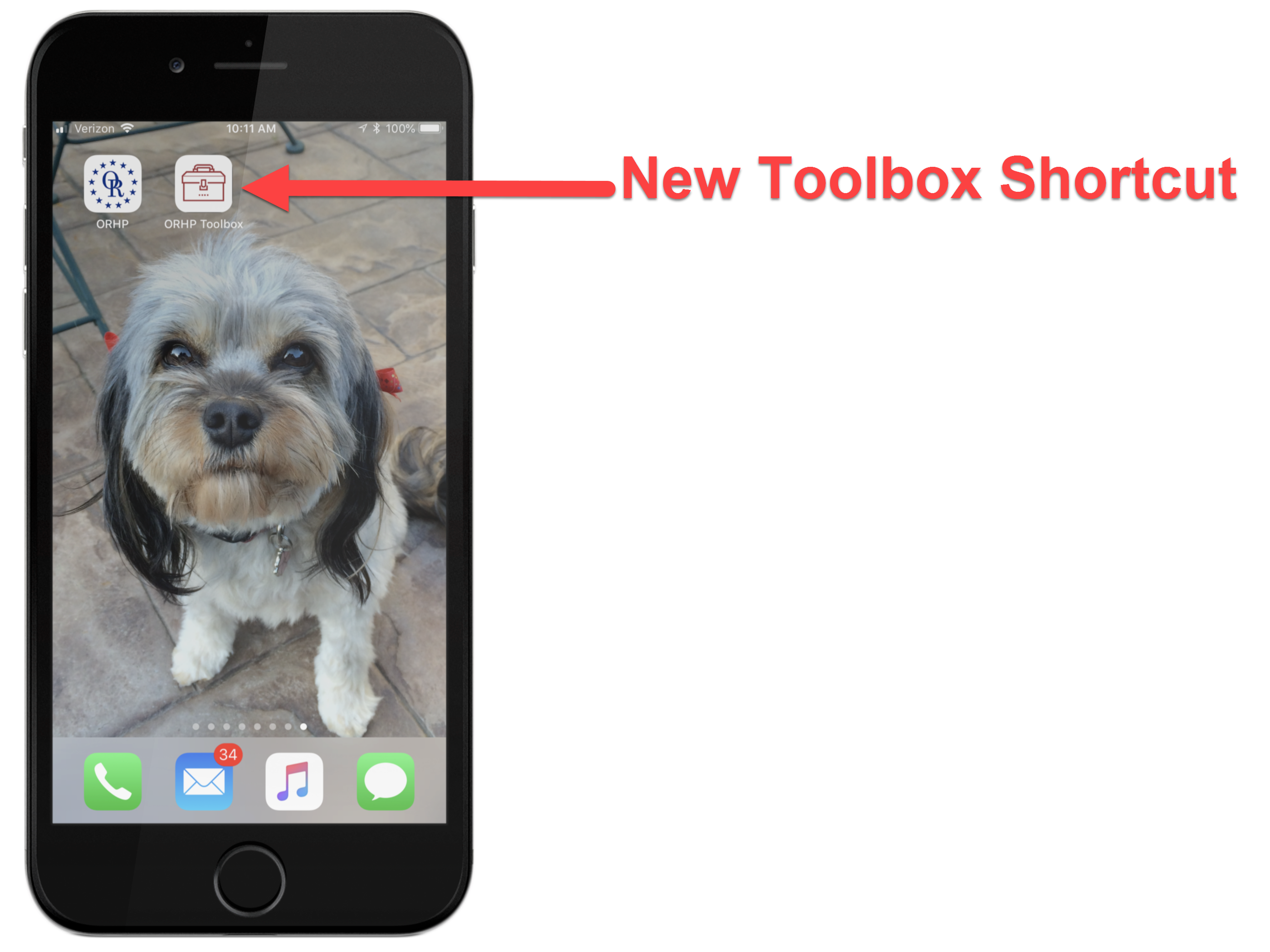A view of website shortcuts on an iPhone with cute dog in the background wallpaper.