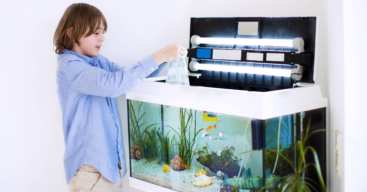 Aquarium Cleaning Checklist